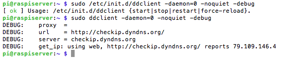 captura 4 configuración cliente DDNS ddclient