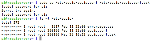 captura backup archivo configuración squid